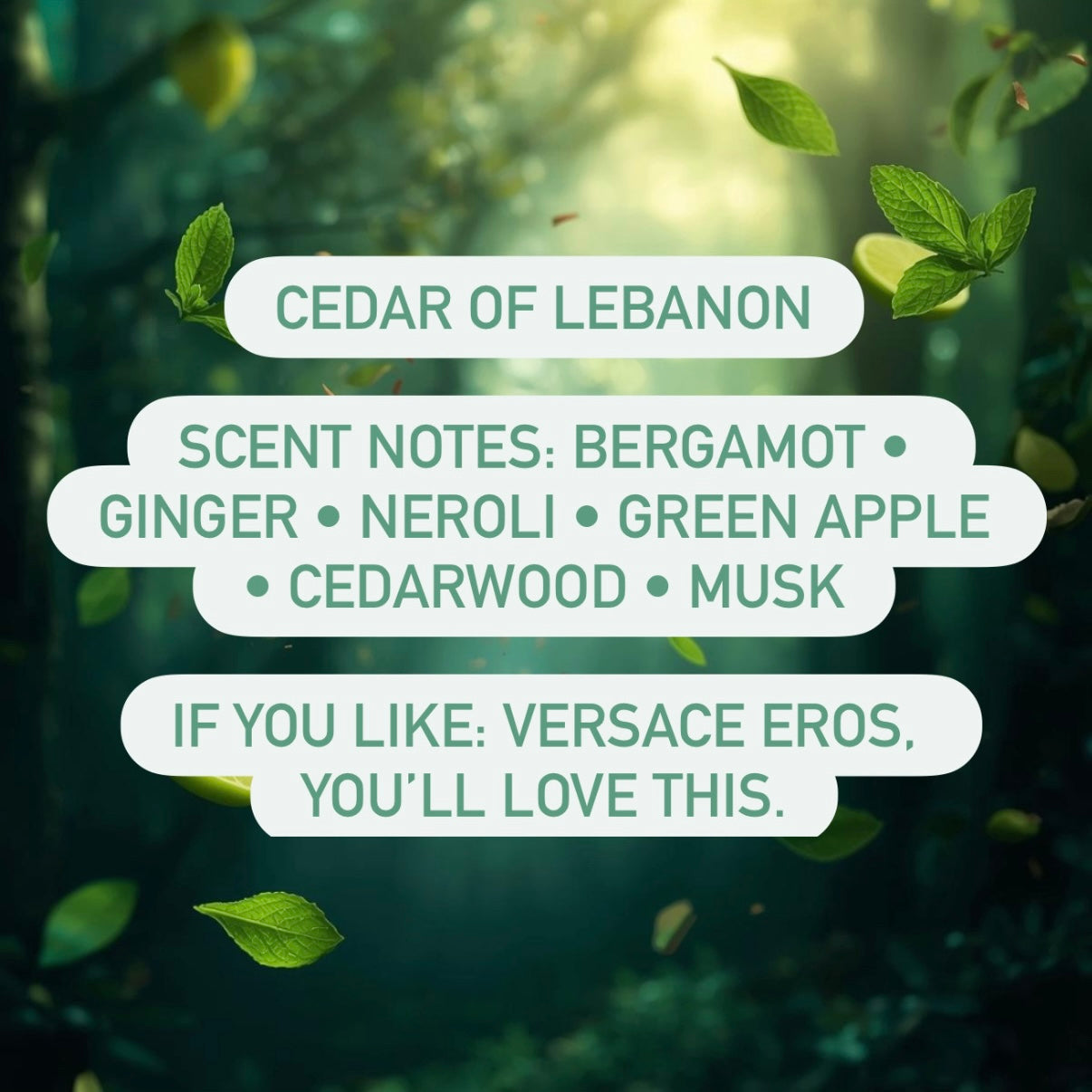 Scented Air Freshener